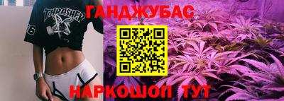 сатива Аша