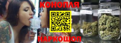 сатива Аша