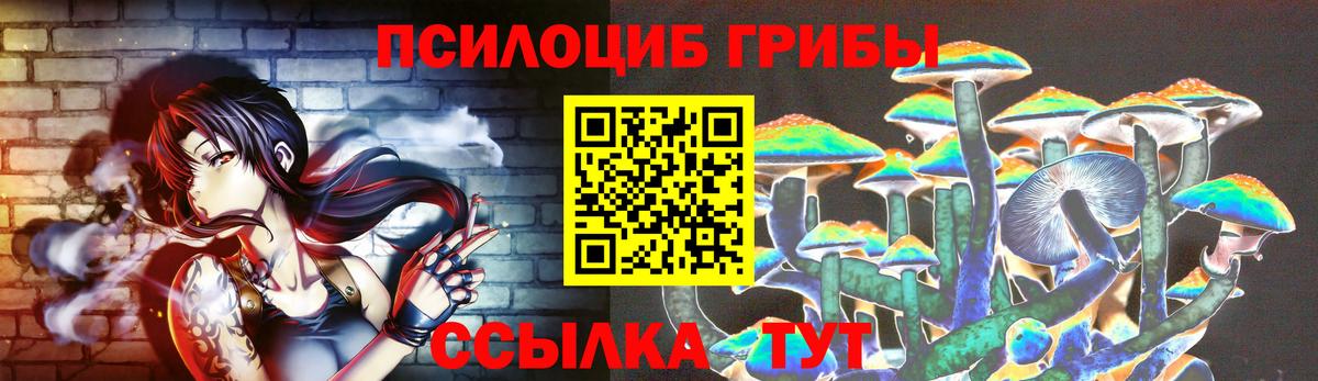 Ипатово  наркота  Вход с VPN  Псилоцибиновые грибы MAGIC MUSHROOMS  Галлюциногенные грибы прущие грибы 